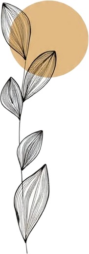 a drawing of a plant with leaves on it.jpg